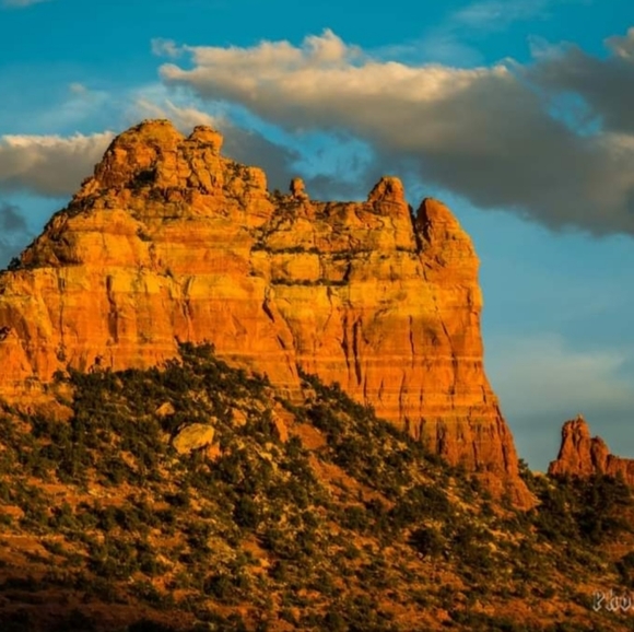 Meet your Posher, Lynnette - Picture 15 of 16